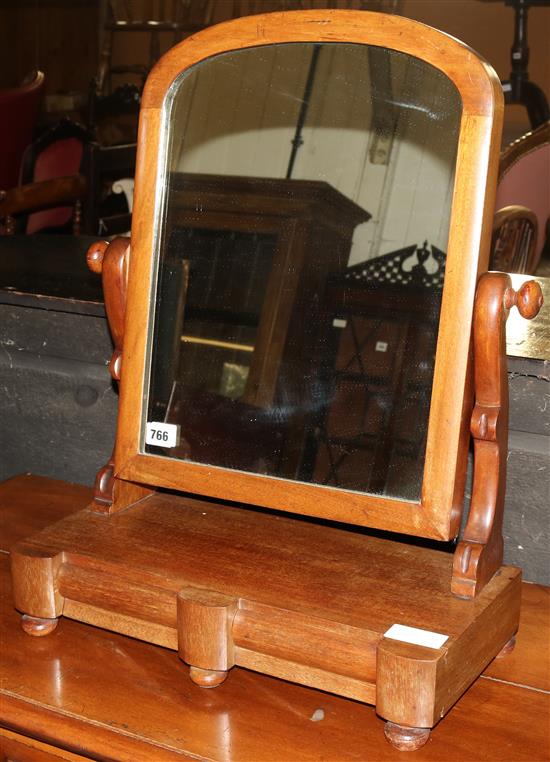 Victorian toilet mirror